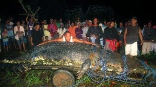 Lolong the Worlds Largest Crocodile found in the Philippines [upl. by Irmgard]