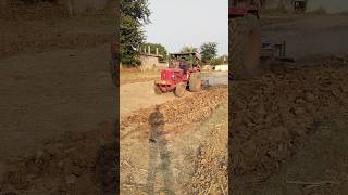 Kharif or Ravi fasal 🌾❣️🙏 minivlog shortsvlog dailyminivlog [upl. by Einaffit]