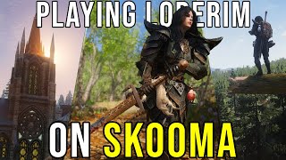 Playing SKYRIM While On SKOOMA  LoreRim 3500 Mods  Live Gameplay [upl. by Darda]