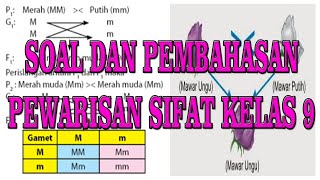 SOAL DAN PEMBAHASAN MATERI PEWARISAN SIFAT HEREDITAS KELAS 9 [upl. by Netsyrc]