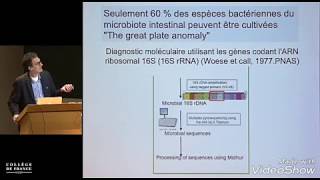 symbiose antibiose eubiose dysbiose  quand les bactéries osent [upl. by Jordison815]