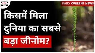 Worlds Largest Genome  Humble Fern  UPSC  Daily Current News  Drishti IAS [upl. by Mikkanen660]