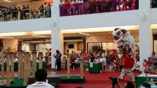 16th Malaysia National Lion Dance Championship Central Zone  Sg Way Khuan Loke [upl. by Sehguh]