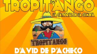 ♥TROPITANGO♥  Vienes y te vas [upl. by Arde]