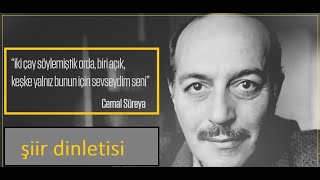 Cemal Süreya  Keşke Yalnız Bunun İçin Sevseydim Seni [upl. by Nirret]