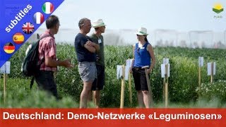 DemoNetzwerk Leguminosen in Deutschland Soja Lupine ErbseBohne [upl. by Maurizio956]