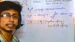 Antigen antibody reaction overview [upl. by Elbon]