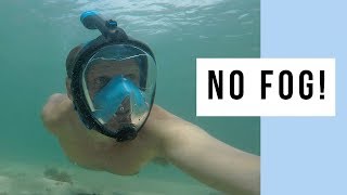 The Only 100 Fog Free Full Face Snorkel Mask  Seabeast AF90 [upl. by Mendez]