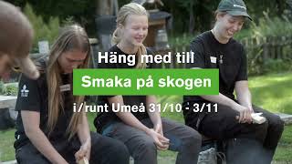 Smaka på skogen A [upl. by Martynne]