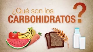 ¿Qué son los carbohidratos [upl. by Sivia611]