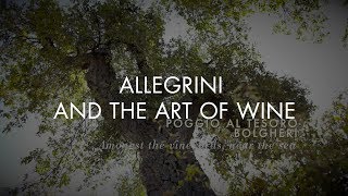 ALLEGRINI AND THE ART OF WINE [upl. by Arita814]