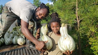 Come Harvest Cushaw Squash with Us [upl. by Lianne]