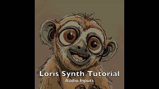 3 Loris Audio Inputs [upl. by Anyalram]