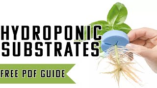 A SIMPLE Guide To Hydroponic Growth Medians  What Is the best way to start your plants [upl. by Lerud303]