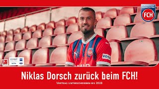 Niklas Dorsch zurück beim FCH [upl. by Medwin]