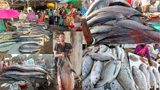 Sassoon Dock Biggest Wholesale Fish Market In Mumbai 2024 ससून डॉक सर्वात मोठा घाऊक मासळी बाजार [upl. by Imat]