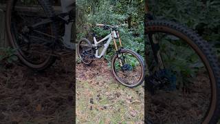 2023 Canyon Torque DH CLLCTV “Kaos Theory” dream Freeride  Bike Park MTB subscribe downhill [upl. by Oirobil791]