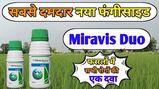 Syngenta Miravis Duo  New Miravis Duo  Miravis Duo  Miravis Duo Fungicide  Syngenta New Miravis [upl. by Eelirol]