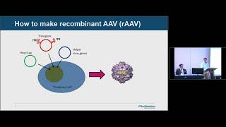 Basics of AAV Gene Therapy [upl. by Renmus]