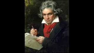 5ta Sinfonía de Beethoven  Primer movimiento [upl. by Cleopatre]