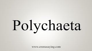 How To Say Polychaeta [upl. by Sheehan]