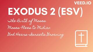 Exodus 2 ESV  Birth of Moses  Moses Flees to Midian  God Hears Israels Groaning  Eng US aud [upl. by Harmonie217]