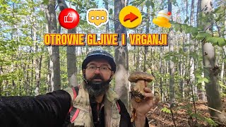 Otrovne Gljive i Vrganji [upl. by Ikcaj]