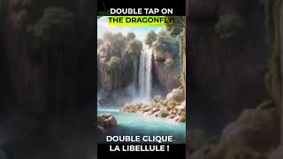 DOUBLE CLIK SUR LA LIBELLULE  JEUX ZEN [upl. by Ecienaj]