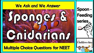 Sponges and Cnidarians in NCERT BIOLOGY [upl. by Htinek]