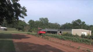 Weed Control in the Garden  July 2012 [upl. by Alliuqat]