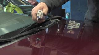 Car Maintenance  How to Get Rid of Mildew Smell in a Car [upl. by Roderica]