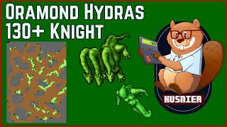 Oramond Hydras  130 Knight  Tibia [upl. by Airdnna39]