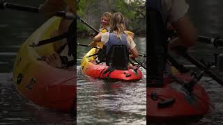 Kayak Adventure at Curaçao Rif Mangrove Park shorts [upl. by Ayekal746]