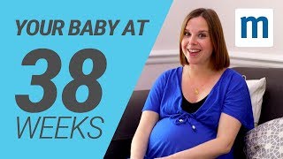 Your baby at 38 weeks  Pregnancy week by week [upl. by Milford]