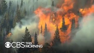 Historic wildfires burn hundreds of thousands of acres throughout Colorado [upl. by Atnoled487]