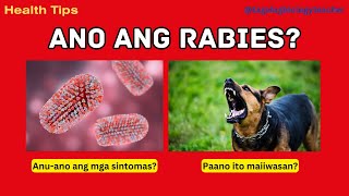 Ano ang Rabies  Signs and Symptoms  Prevention  Health Tips 13 Tagalog [upl. by Adnerad705]