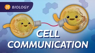 Why Do Cells Need to Communicate Crash Course Biology 25 [upl. by Assenahs665]