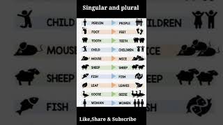 English Grammar Singular and plural Irregular plural nouns [upl. by Aierdna]