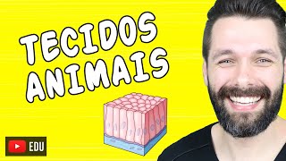 TECIDOS ANIMAIS  HISTOLOGIA ANIMAL  Mapa Mental e Resumo  Biologia com Samuel Cunha [upl. by Novad]