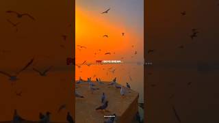 Aur tu hai kahan 🥺  Sad WhatsApp status Aesthetic status lyrics video 💔 uraan aur sad shorts [upl. by Inaluahek]