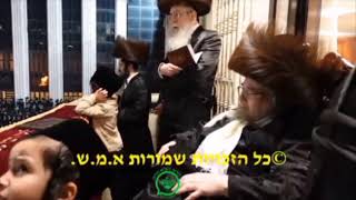 Lag Baomer 5784 With Belzer Rebbe [upl. by Tadeo]