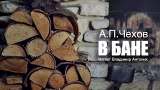 «В бане» АПЧехов Аудиокнига Читает Владимир Антоник [upl. by Nageem]