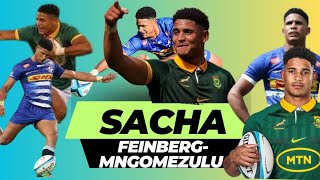 Best Of Springbok Sacha FeinbergMngomezulu  Springboks Golden Goose [upl. by Ocirema]