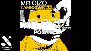 Mr Oizo  Positif Official Audio [upl. by Sissy863]