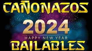 Reventón Bailable de Fin de Año 2024 Mezclas Fiesteras LuiguiBetoDj 🎧♬♪♫ [upl. by Ninos]