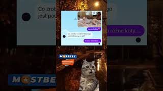 capcut meitu foryou smieszne polska śmieszne fup viral [upl. by Esojnauj]