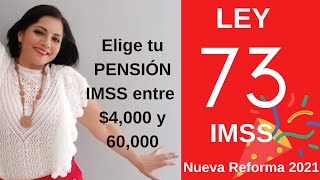 LEY 73 Modalidad 40 Elige tu PENSIÓN IMSS entre 4000 y 60000 [upl. by Bouldon699]