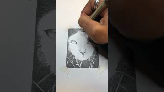 Stippling Cat Face Pen and Ink Drawing art [upl. by Astera]