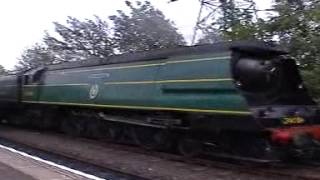 Steam Trains of Southern Railway [upl. by Gillett]