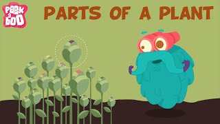 Parts Of A Plant  The Dr Binocs Show  Learn Videos For Kids [upl. by Bradeord]